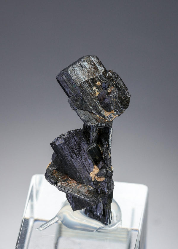 CC27441 specimen image