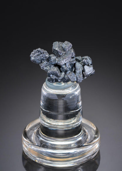 CC27445 specimen image