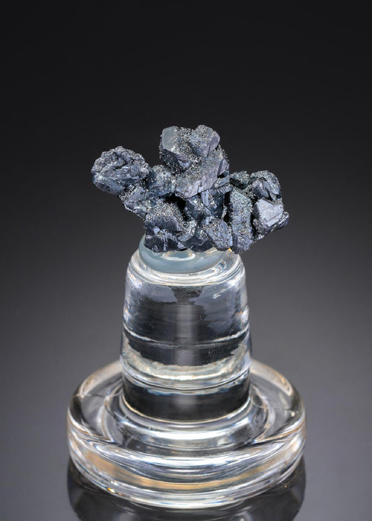 CC27445 specimen image