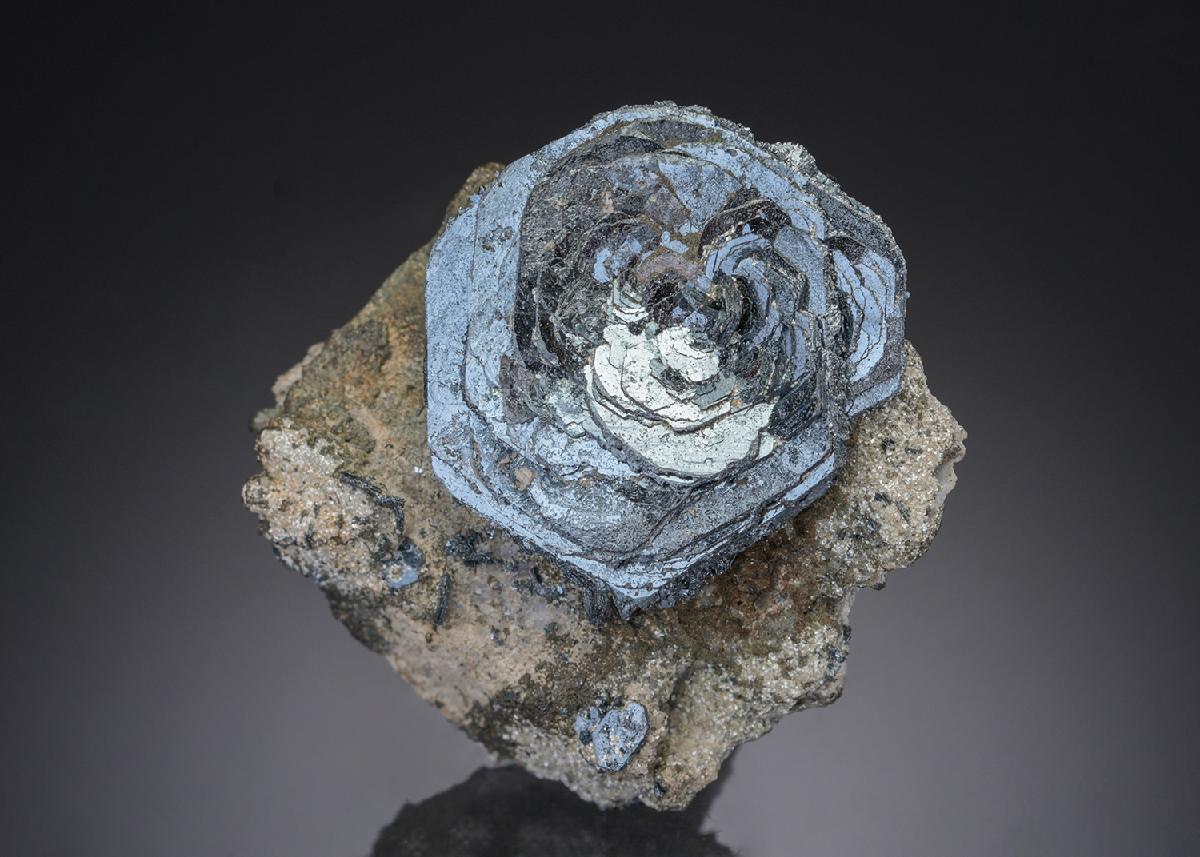 CC27455 specimen image
