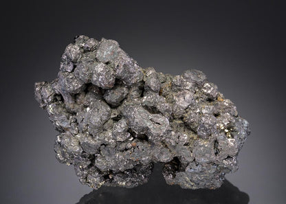 CC27461 specimen image