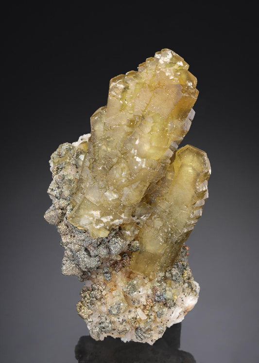 CC27467 specimen image