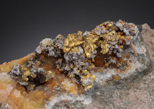 CC27473 specimen image