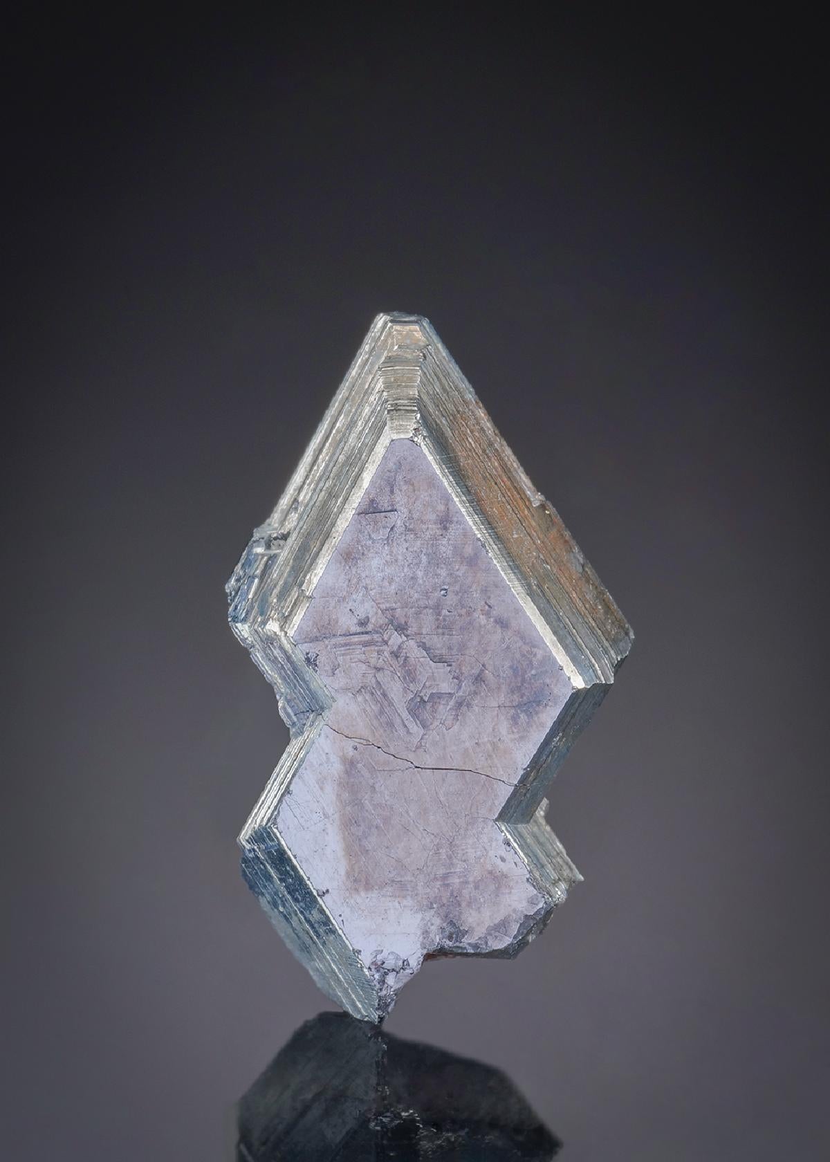 CC27489 specimen image