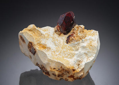 CC27497 specimen image