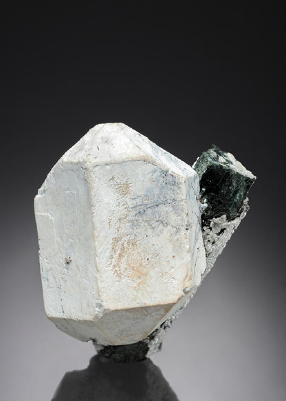 CC27505 specimen image