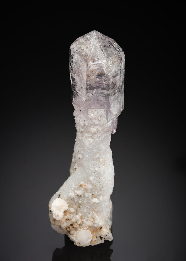 CC27517 specimen image