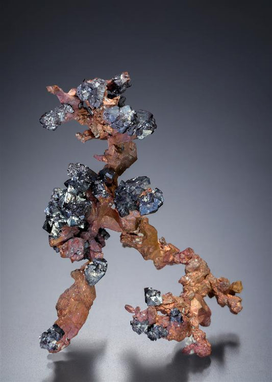 CC2753 specimen image