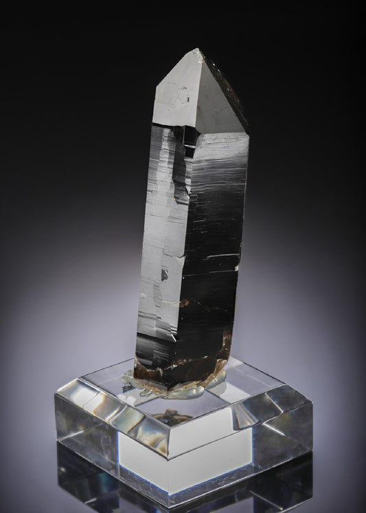 CC27537 specimen image