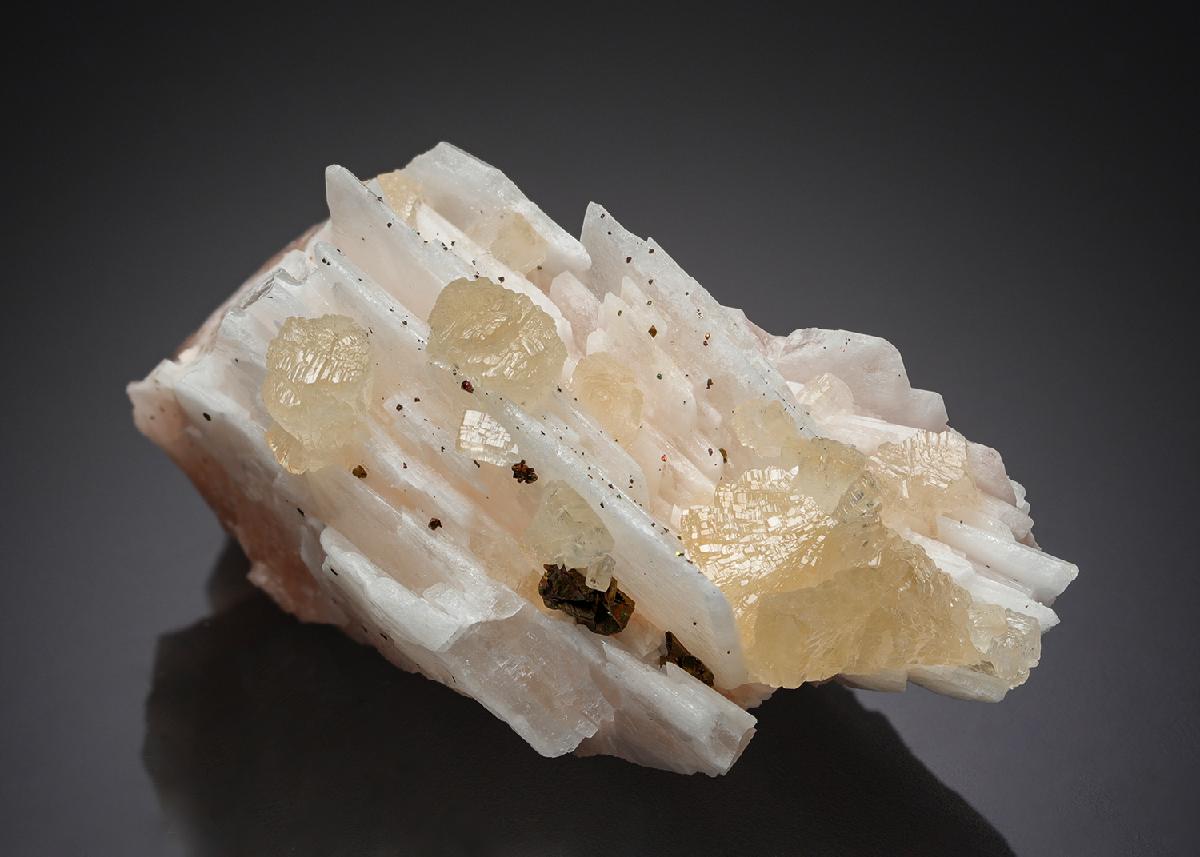 CC27551 specimen image