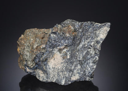CC27561 specimen image