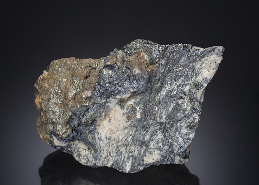 CC27561 specimen image
