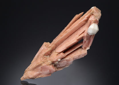 SERANDITE with ANALCIME