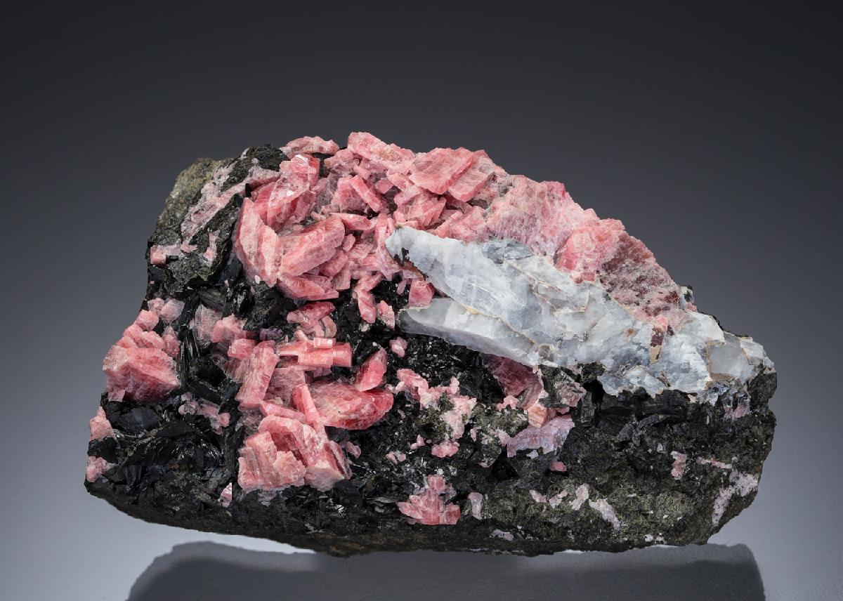 CC27571 specimen image