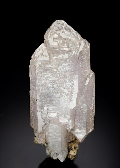 CC27595 specimen image