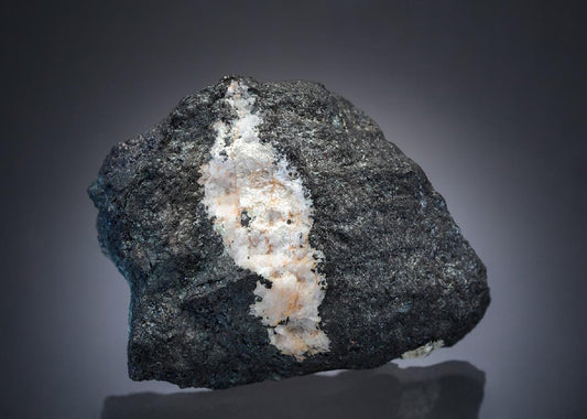 CC27619 specimen image