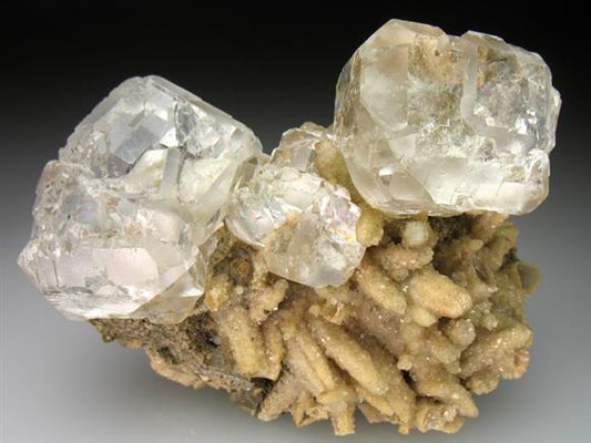 CC2763 specimen image