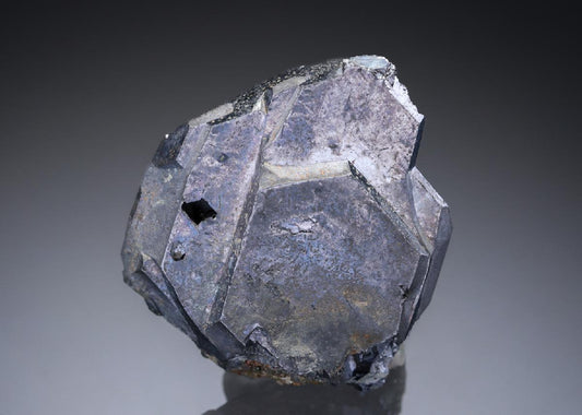 CC27631 specimen image