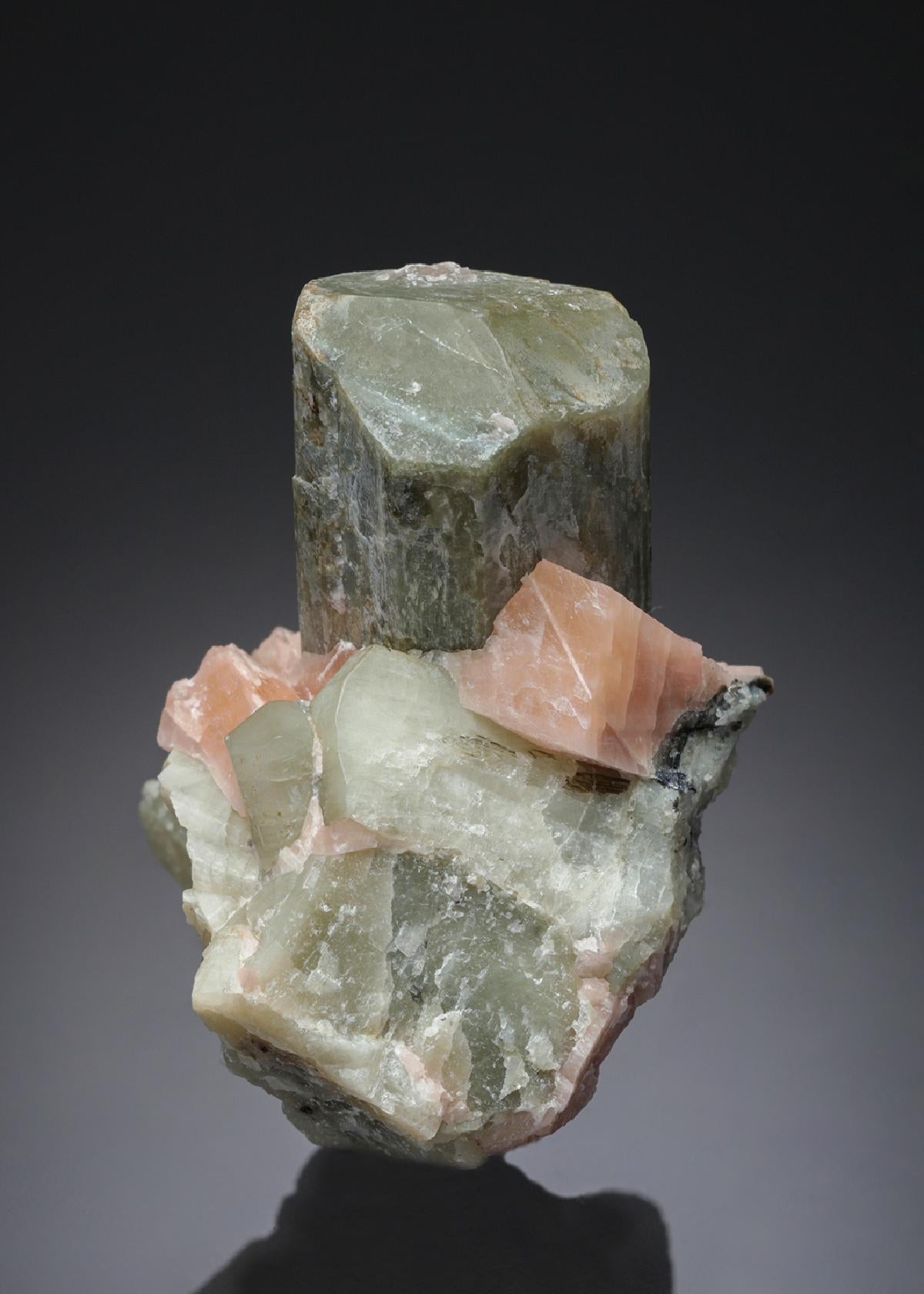 CC27637 specimen image