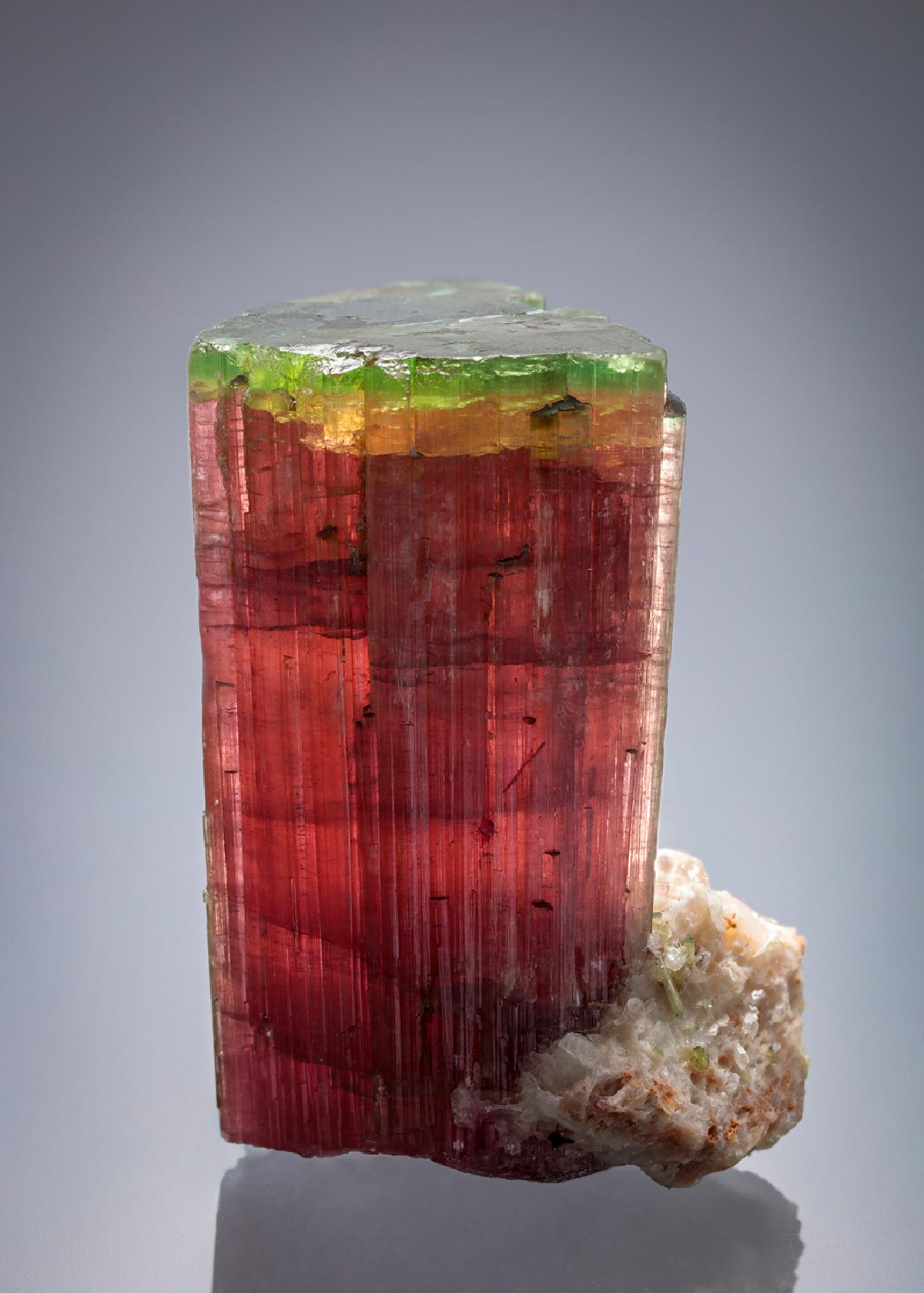 CC27639 specimen image