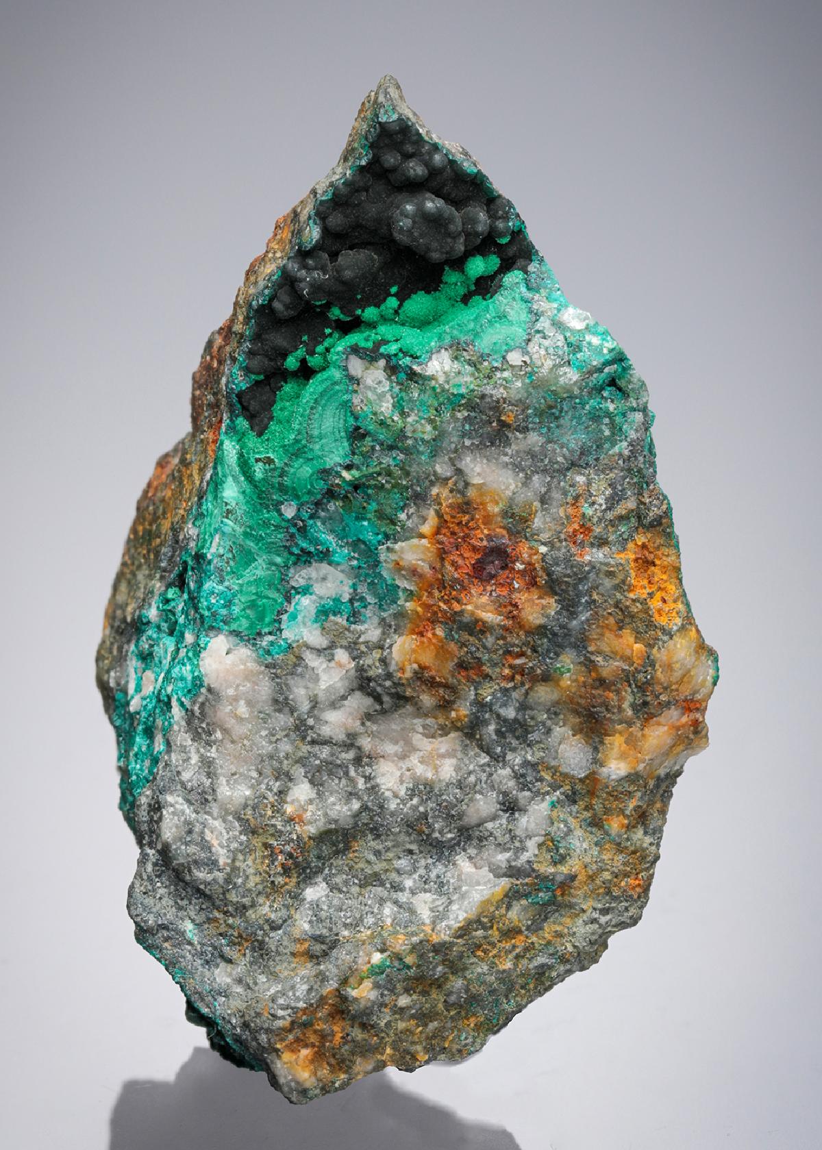 CC27641 specimen image