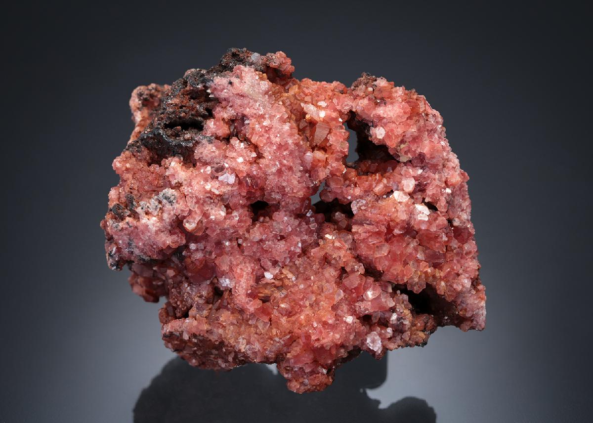 CC27649 specimen image
