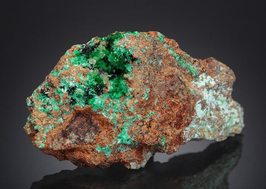 CC27657 specimen image