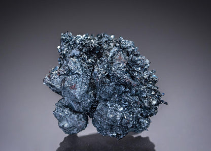 CC27673 specimen image