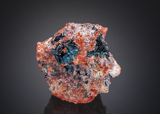 CC27679 specimen image