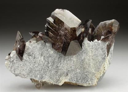CC2768 specimen image