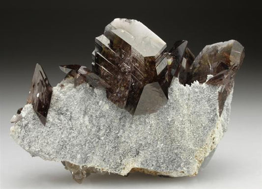 CC2768 specimen image