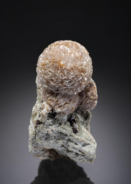 CC27683 specimen image