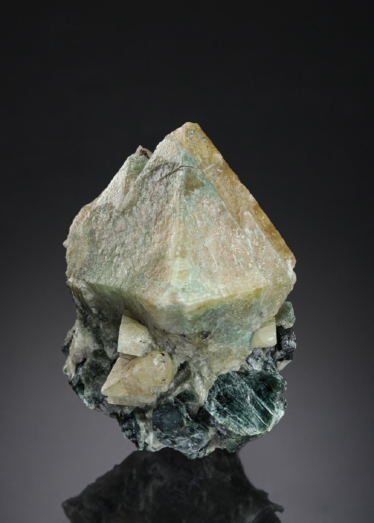 CC27687 specimen image