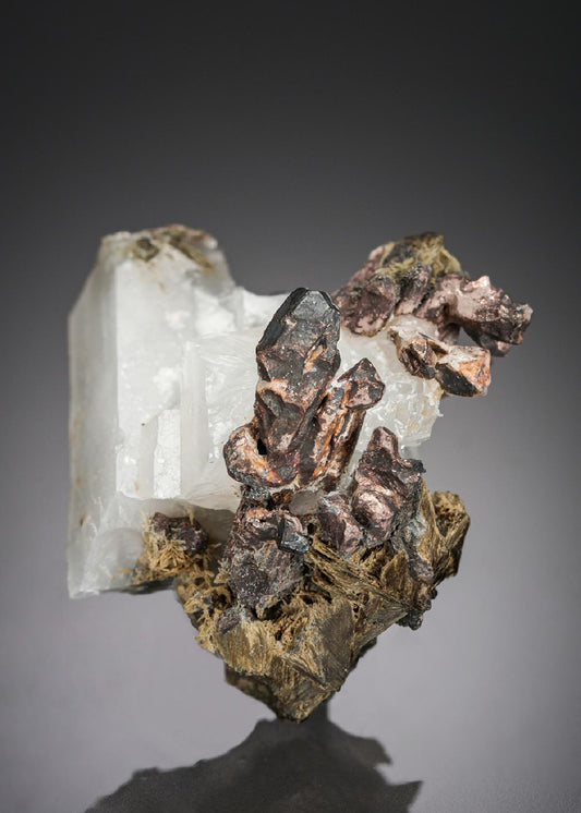 CC27699 specimen image