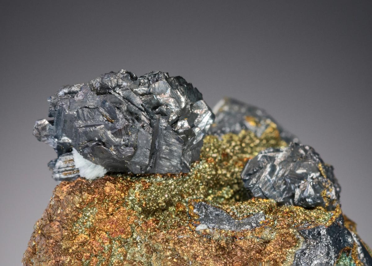 CC27703 specimen image