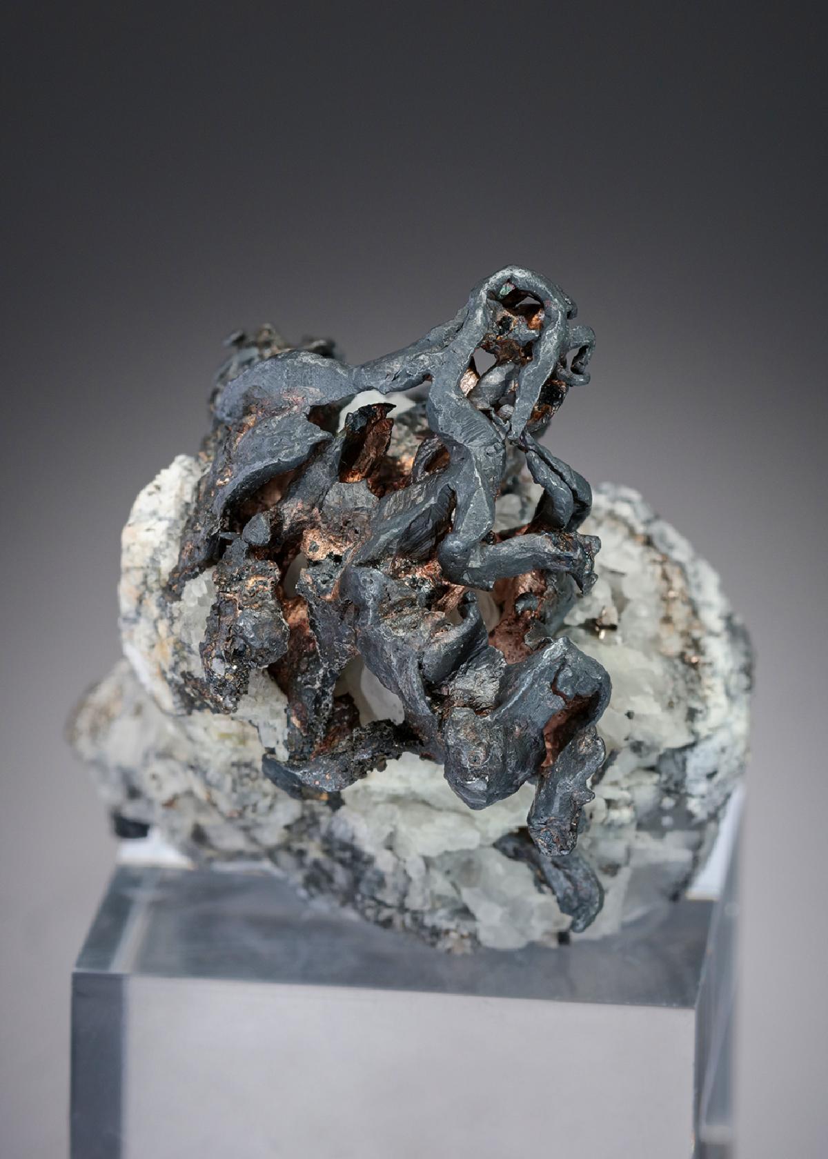 CC27707 specimen image