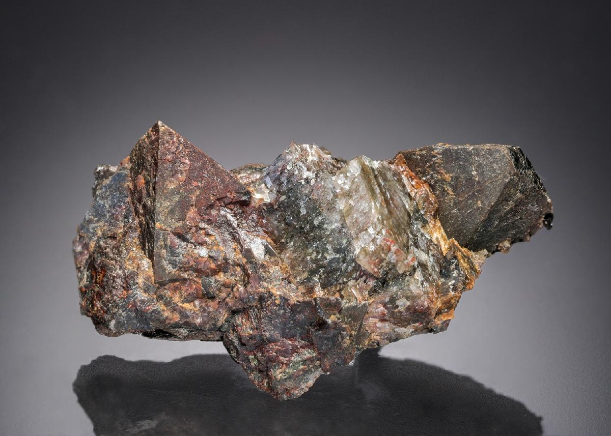 CC27713 specimen image