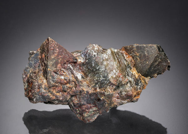 CC27713 specimen image