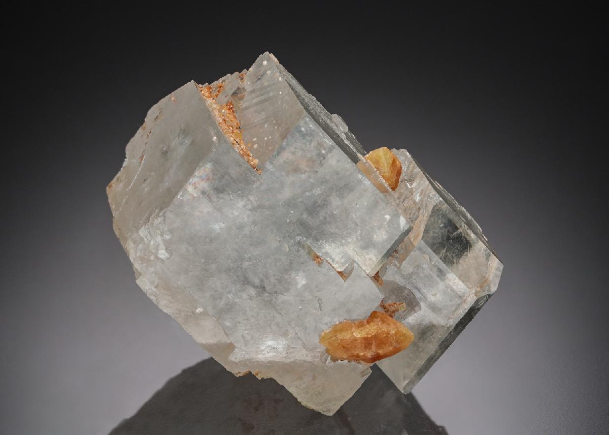 CC27717 specimen image