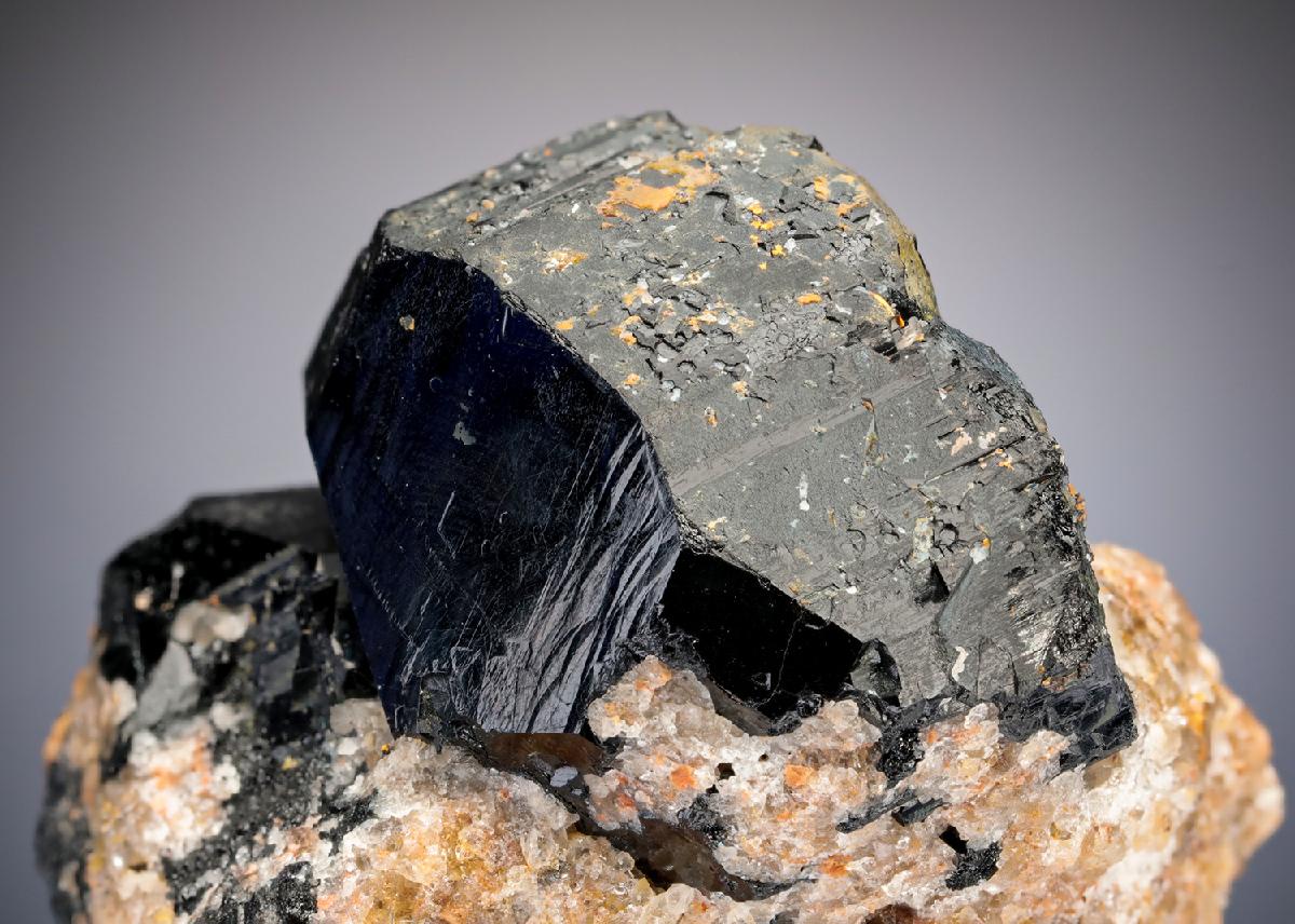 CC27735 specimen image