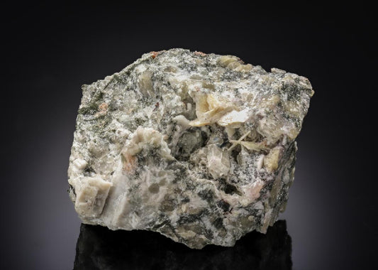 CC27761 specimen image