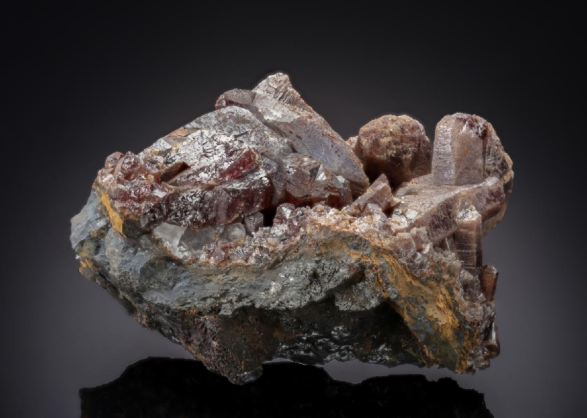 CC27763 specimen image