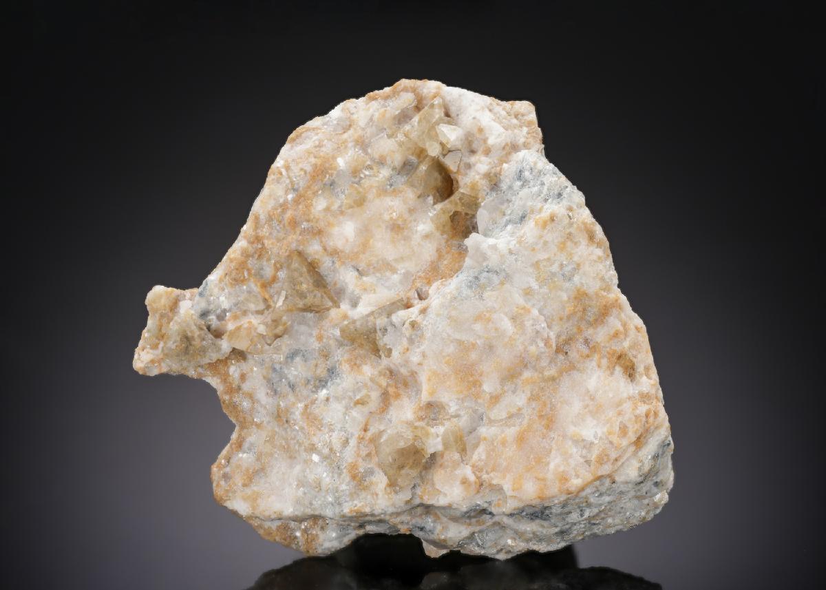 CC27769 specimen image