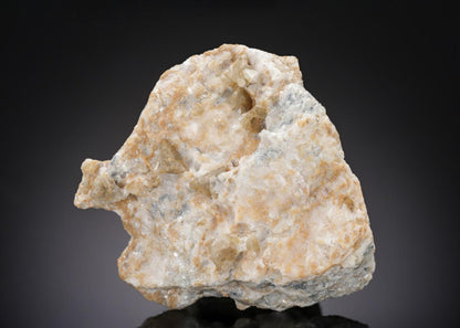 CC27769 specimen image