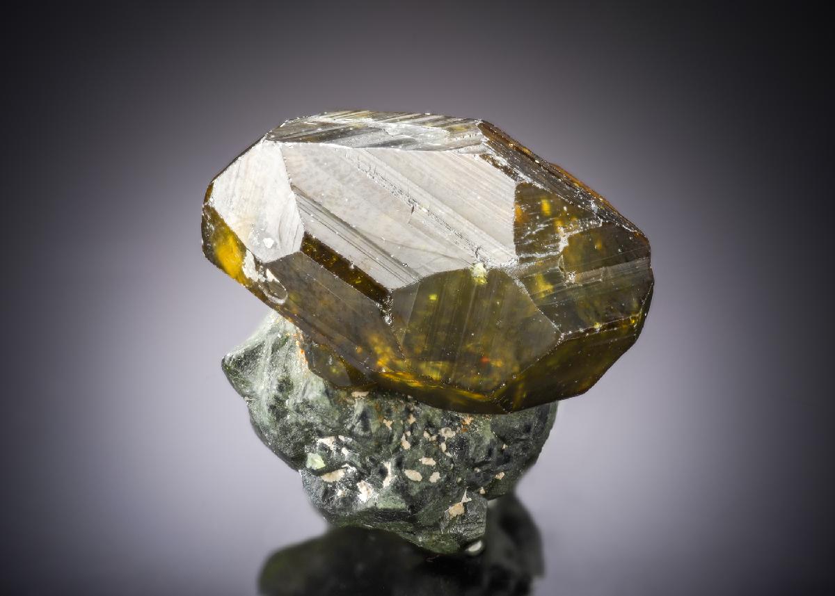 CC27771 specimen image