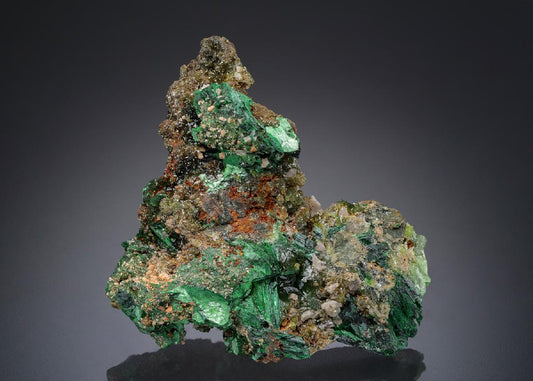 CC27777 specimen image