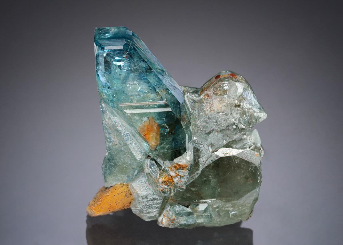 CC27779 specimen image