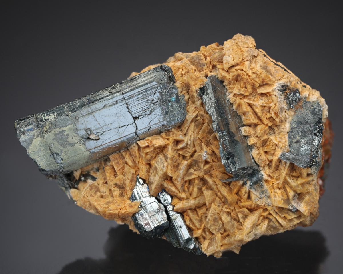 CC27781 specimen image