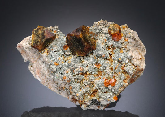 CC27799 specimen image