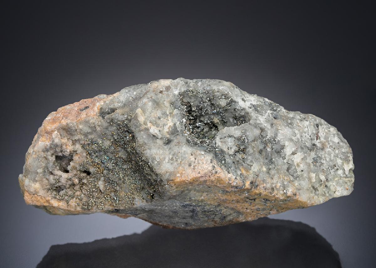 CC27803 specimen image